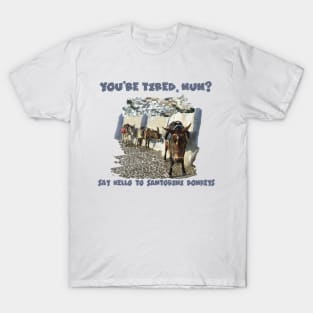 Santorini Donkeys T-Shirt